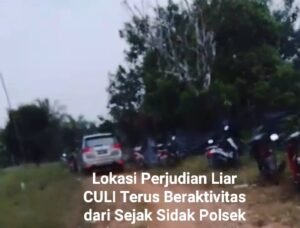 Judi Liar