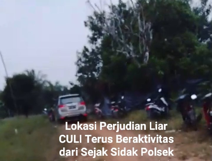 Judi Liar