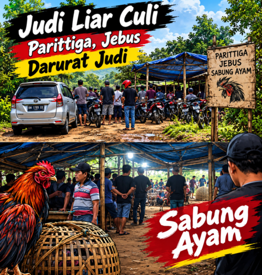 Judi Culi